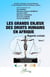 Les grands enjeux des droits humains en Afrique : Regards croisés Tome 2
