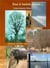 Sous le baobab, ecoute ... contes et legendes d'afrique et d'ailleurs  euryuniverse editions