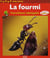 La fourmi - travailleuse infatigable