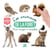 Mon bel imagier a completer - les animaux de la foret