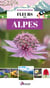 Fleurs des Alpes