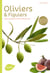Oliviers et figuiers - en pot, au jardin et pour la production