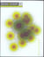 Design in europe 2005