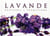 Lavande senteurs et traditions fr/ang