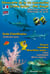 Découverte de la vie sous-marine - océan indien, mer rouge
