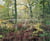 Paysages insoumis