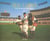 Leifer baseball