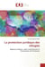 La protection juridique des réfugiés : Régime juridique, cadre institutionnel et mécanismes de Protection