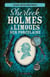 Sherlock Holmes à Limoges sur porcelaine