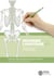 Dessiner l'anatomie Tome 3 : une méthode géométrique en 4 étapes