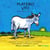 Castelnuovo-Tedesco : Platero y Yo