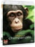 Chimpanzés