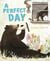 A PERFECT DAY