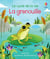 La grenouille - Le cycle de la vie