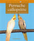 Perruche callopsitte