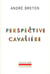 Perspective cavalière