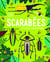 Scarabées et autres coléoptères