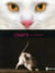 Chats du monde
