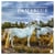Calendrier perpétuel Camargue (édition 2018)