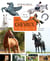 Jeux pour tout savoir sur... : Les chevaux