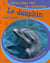 Gros plan sur les animaux 27. le dauphin intelligent