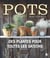 Pots - des plantes pour toutes les saisons