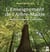 L'enseignement de l'arbre-maître - l'histoire d'un homme et d'un arbre