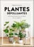 Plantes dépolluantes : découvrez les pouvoirs purifiants de vos végétaux