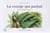La courge qui parlait