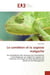 Le cameleon et la sagesse malgache - du symbolisme des animaux aux conceptions cosmologiques qui reg
