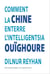Comment la Chine enterre l'intelligentsia ouïghoure