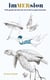 ImMERsion : Petit guide du bain de mer & de la nage hivernale