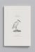 Carnet animal aquatique - aigrette garzette