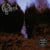 My arms your hearse - CD