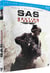S.A.S. : Section d'assaut