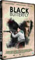Black Butterfly