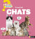 Questions réponses 5+ : Tous les chats