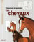 Dessiner et peindre les chevaux