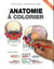 Anatomie à colorier (4e édition)