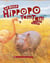 Le petit hippopo tamtam