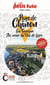 Guide Pays De Chinon 2023/2024 Petit Futé