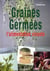 Graines germées - l'alimentation vivante
