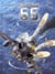 Flotille 66 Tome 1 - les messagers de l'atome