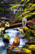 Fables - livres i a vi - version "dys"