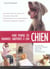 Faire perdre les mauvaises habitudes a son chien