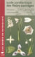 Guide panoramique des fleurs sauvages