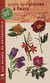 Guide des plantes a fleurs, des arbres et des arbustes d'europe occidentale