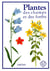 Plantes des champs et des forets