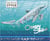 Dauphin style - ocean shine - carnet créatif