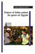 Enjeux et luttes autour du genre en Egypte
